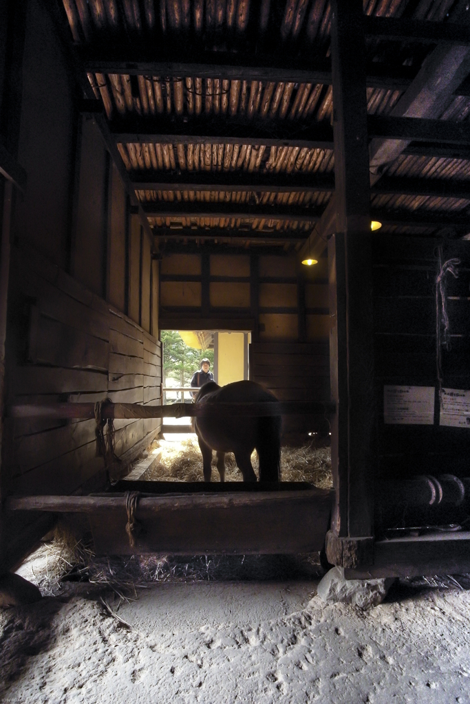 遠野ふるさと村にて【その2】