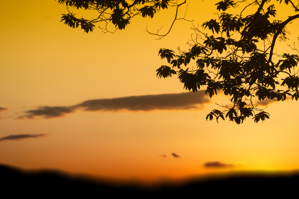 夕暮れのシルエット