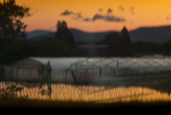 荒神様の田んぼ【その9】