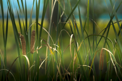 秋の風景【01】