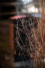 伝承の里冬物語【vol.22】