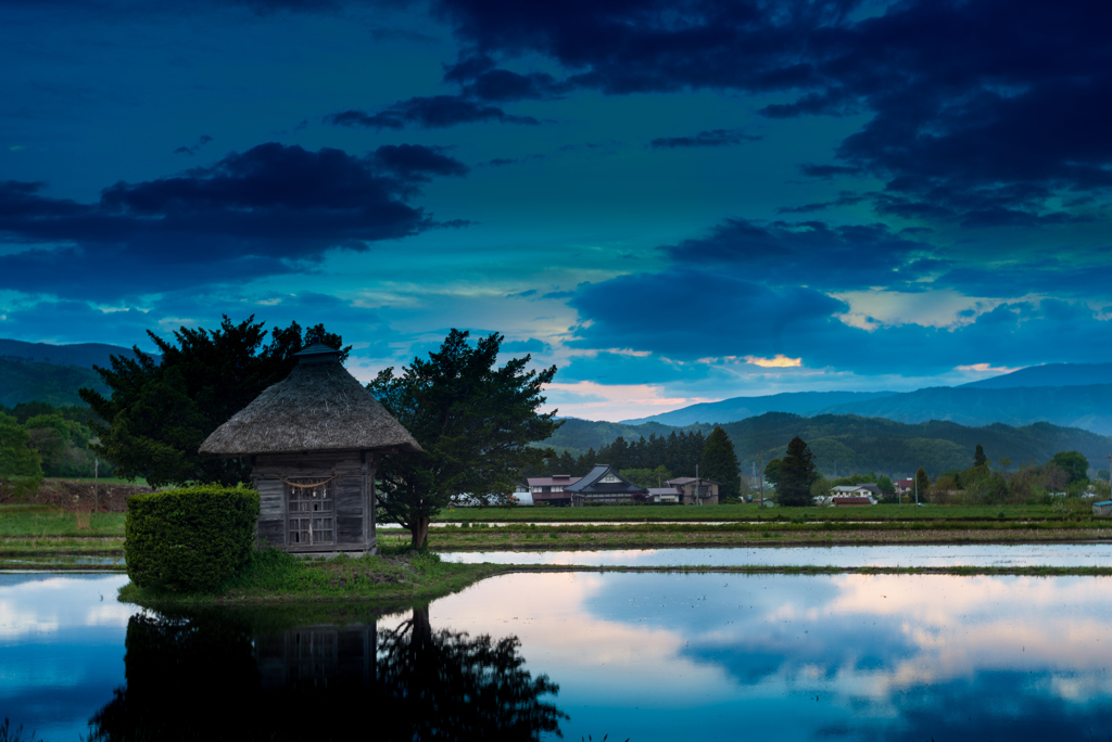 荒神様の田んぼ【番外】