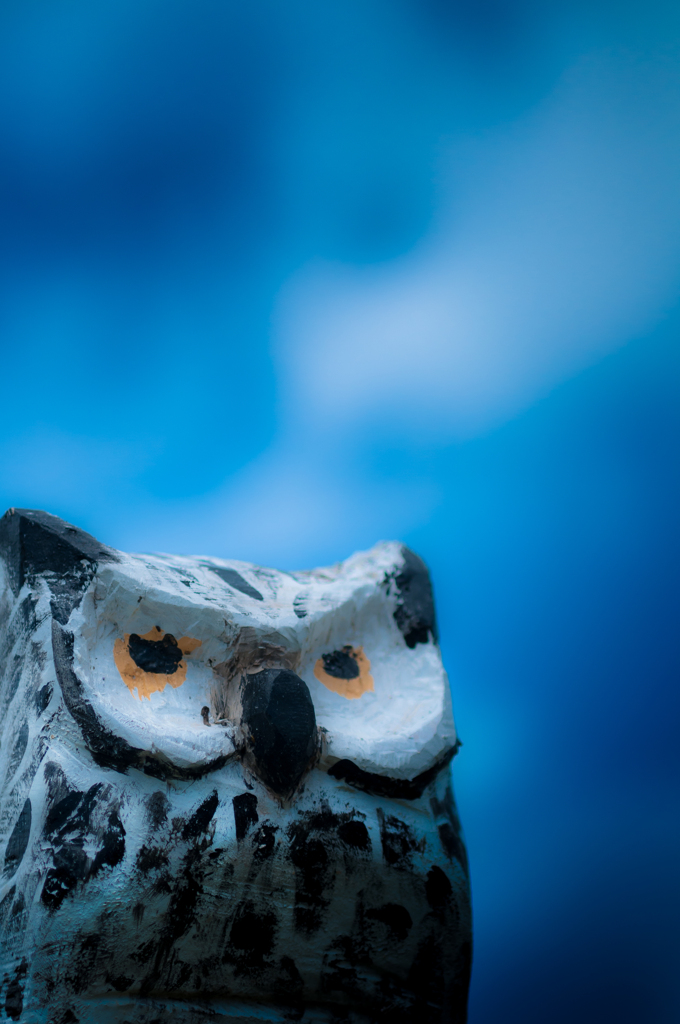 コテージランドのふくちゃん【01】