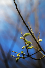 めざめの春【その3】