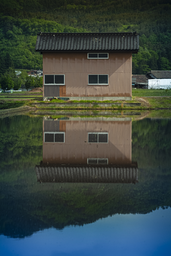 田んぼに映る