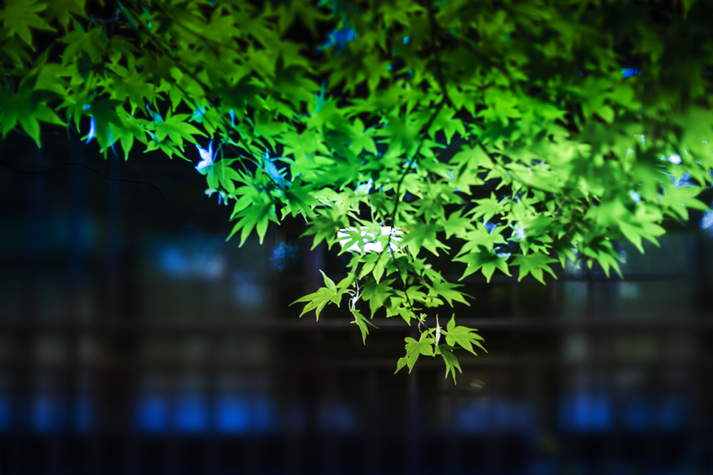 南昌荘【その12】