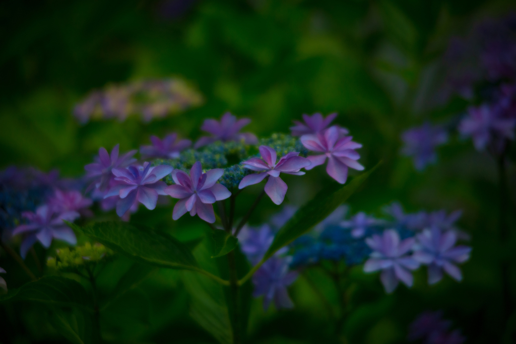 民族村の夏【vol.08】