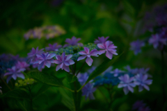 民族村の夏【vol.08】