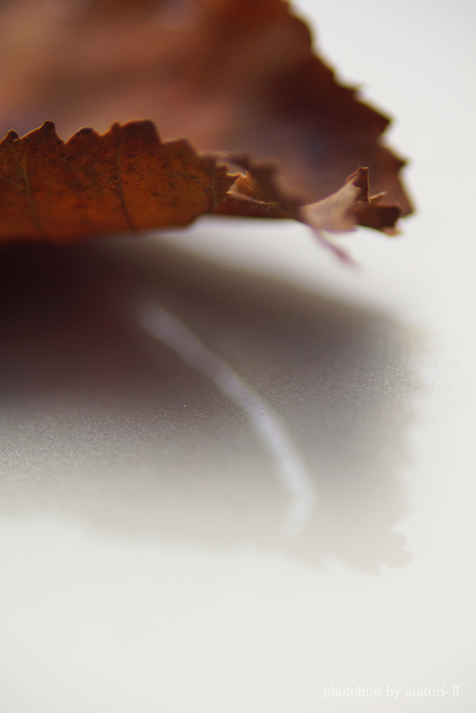 秋のはじまりⅡ