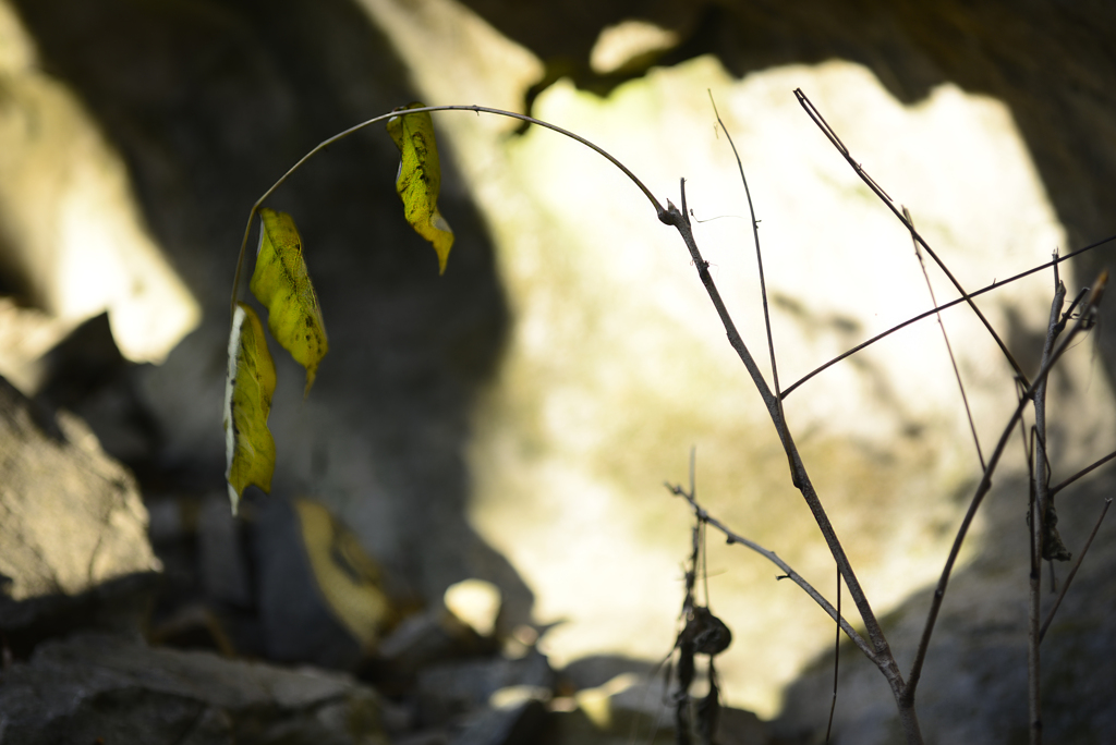 秋の終わり【その6】