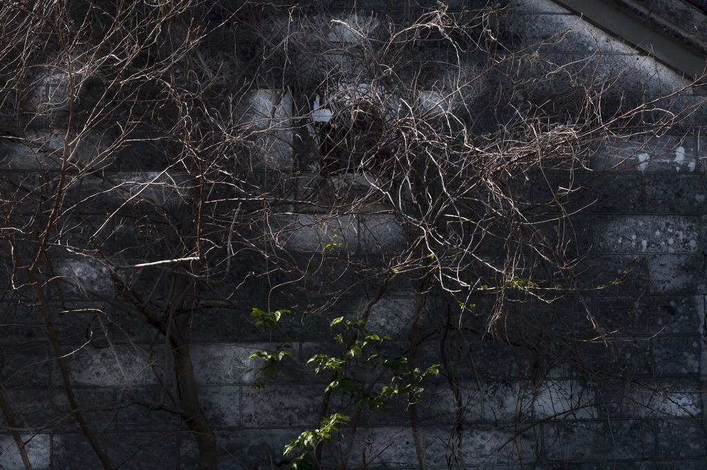 秋の終わり【その4】