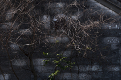 秋の終わり【その4】