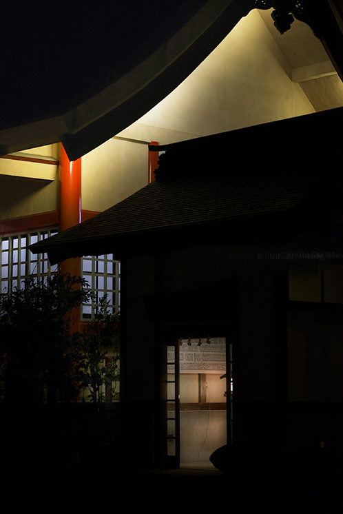 元朝参り【その3】