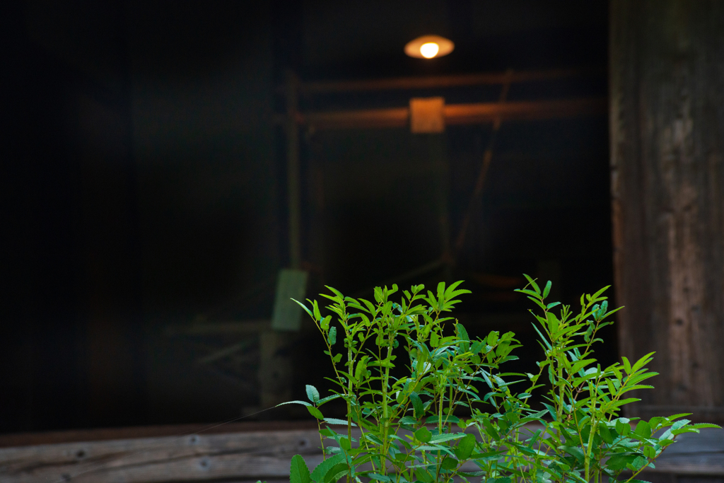 民族村の夏【vol.17】