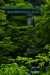 ありがとう! SL銀河【vol.10】