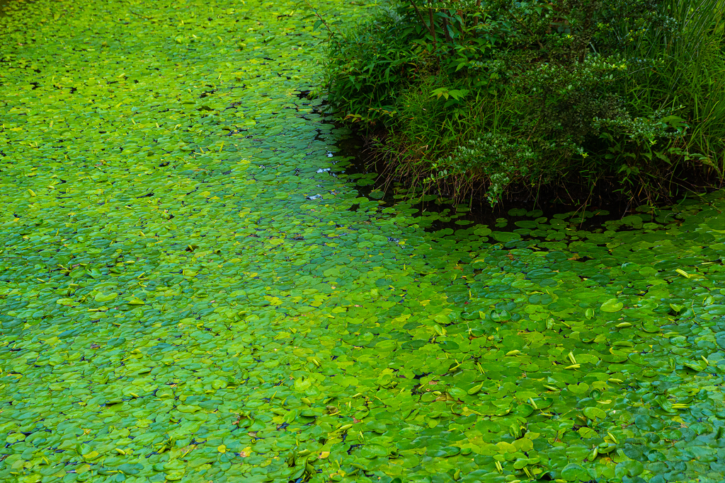 民族村の夏【vol.07】