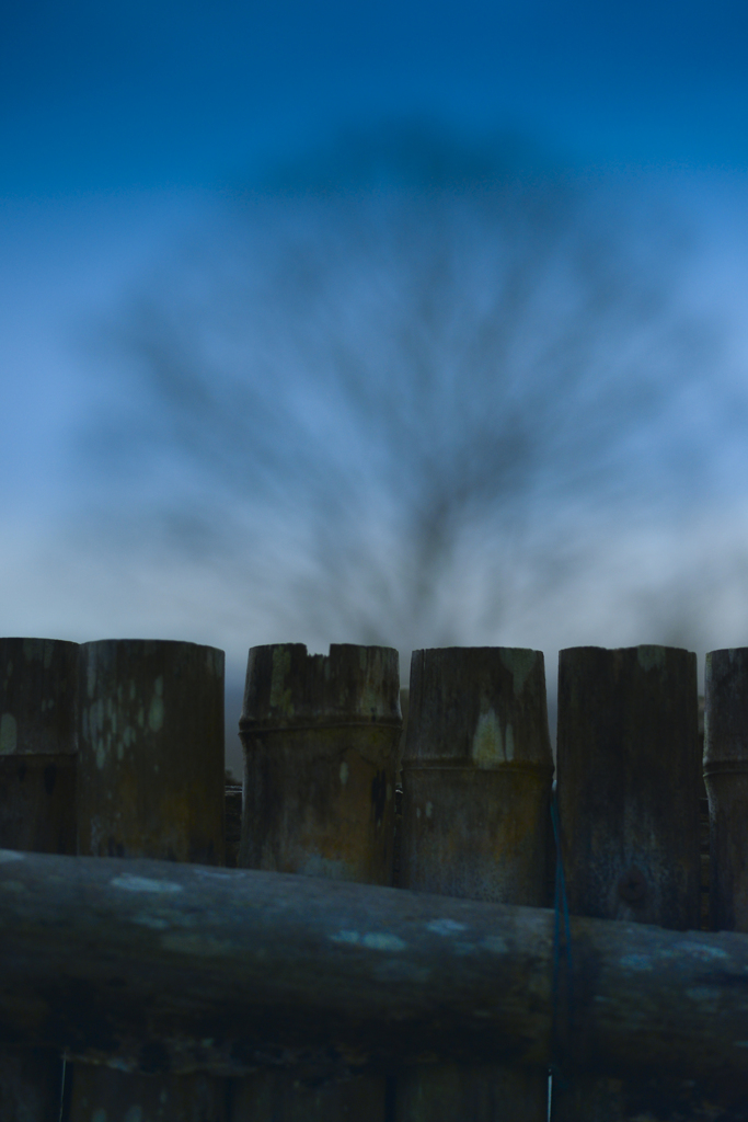 毛越寺にて【vol.12】