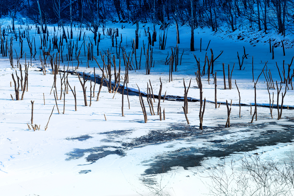 名もない冬の沼にて【vol.03】