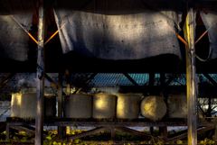 牧草ロールのある風景Ⅱ