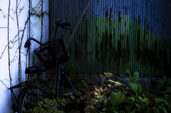 自転車のある風景【02】