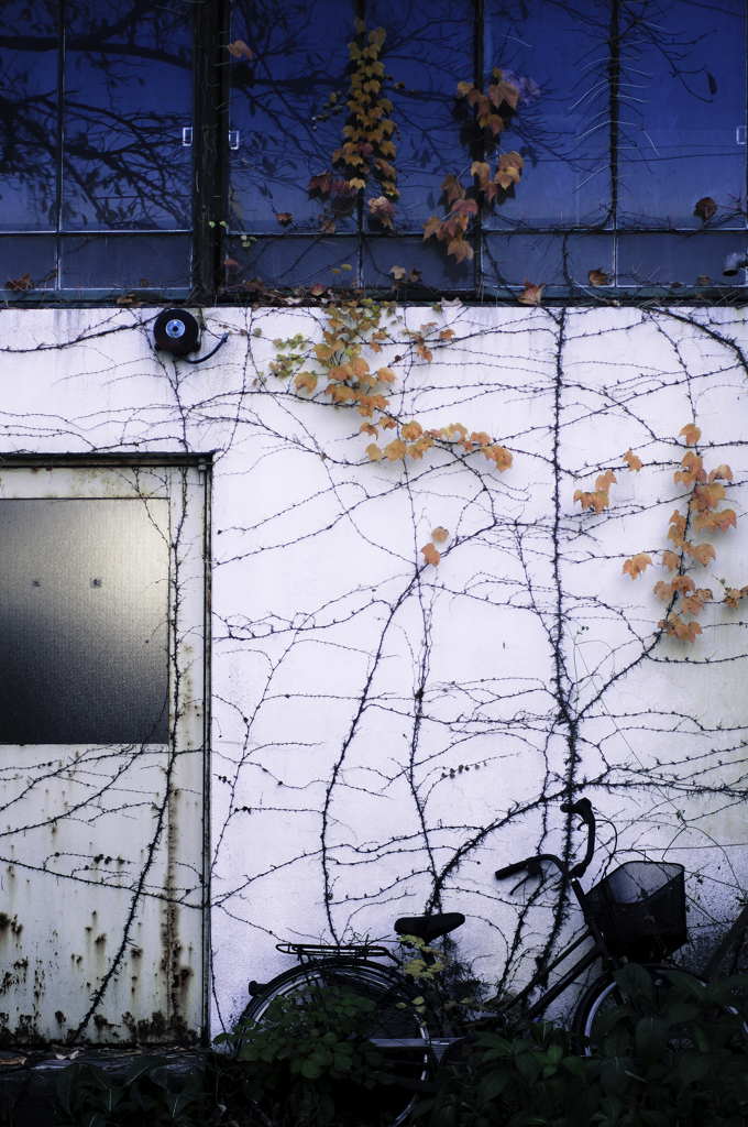 自転車のある風景【01】