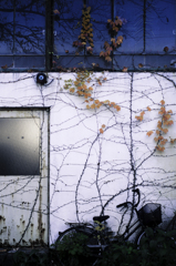 自転車のある風景【01】