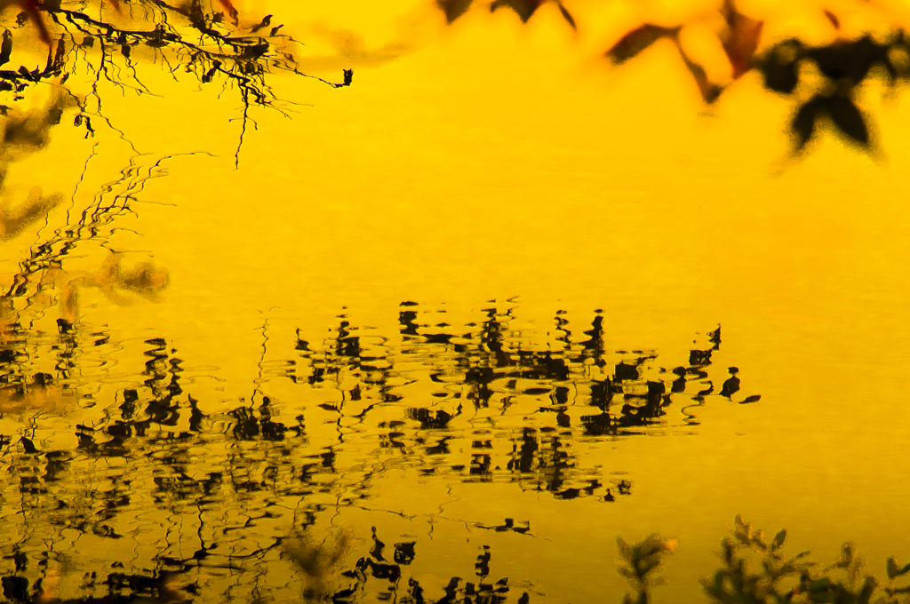 秋の風景【05】