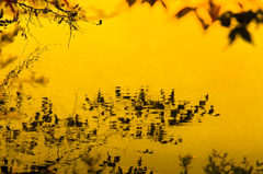 秋の風景【05】