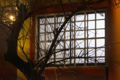 元朝参り【その5】