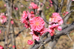 A5210EA6-4A65-4017-A4D1-477833CF62C1