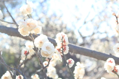 AB40F0EC-9613-41A4-B9C4-E60489E0D271