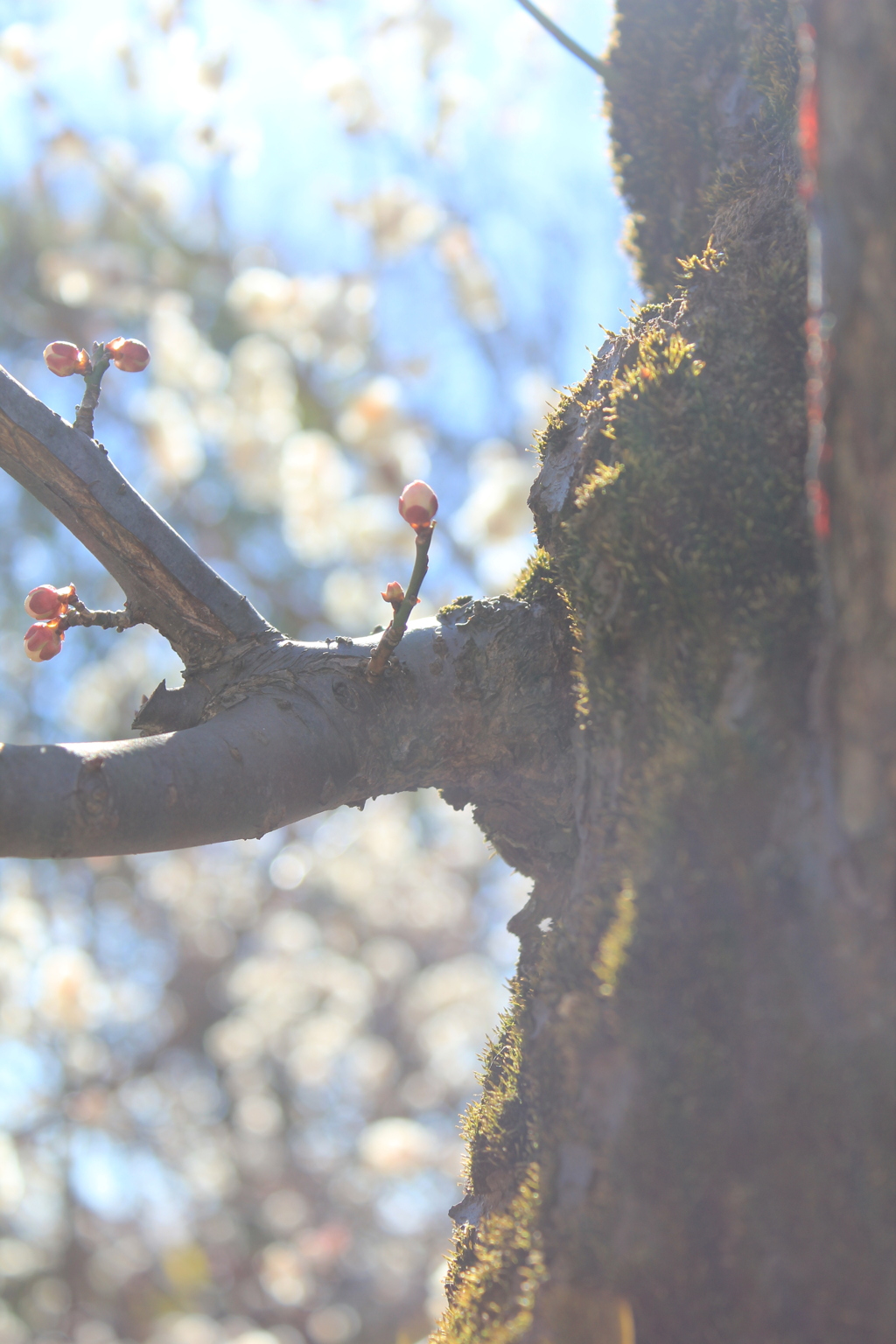 41DD2D88-D392-4570-8B52-B7948FE30545