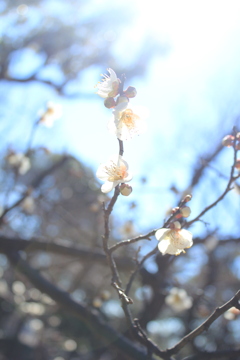 C0372919-39EC-4B3A-B6E4-6D42A224CE0E