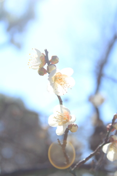 E5891C2E-4D23-4C20-8390-4A992E2DAF9D