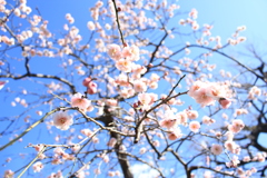 C3701708-4806-4D95-9C41-640FBFA0E582