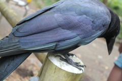 63AA29FE-E5E5-4313-93CF-928476A57015