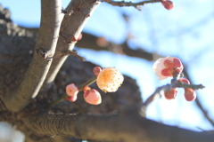 F50D5891-AA90-473D-A464-0978D847F088