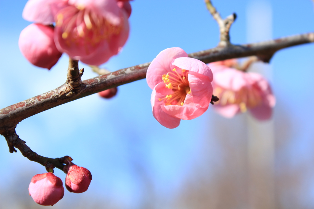 6B0D61E2-5B1F-4A6A-80BE-EA5C014BE3BB