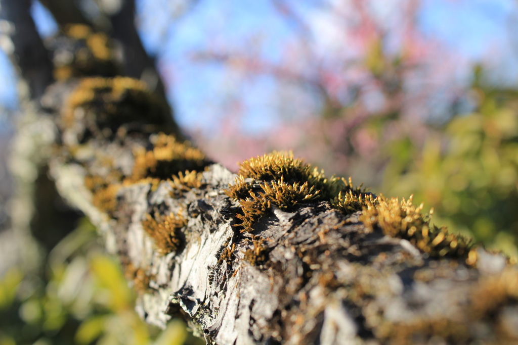 4DE63E5E-580B-49C0-80B5-207495C97306