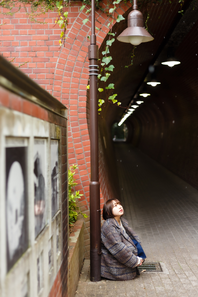 発展の跡