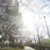 温