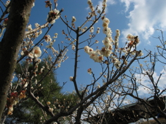 passato fotografia