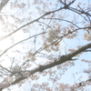 暖かく
