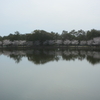 静