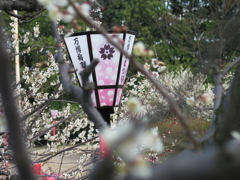 passato fotografia