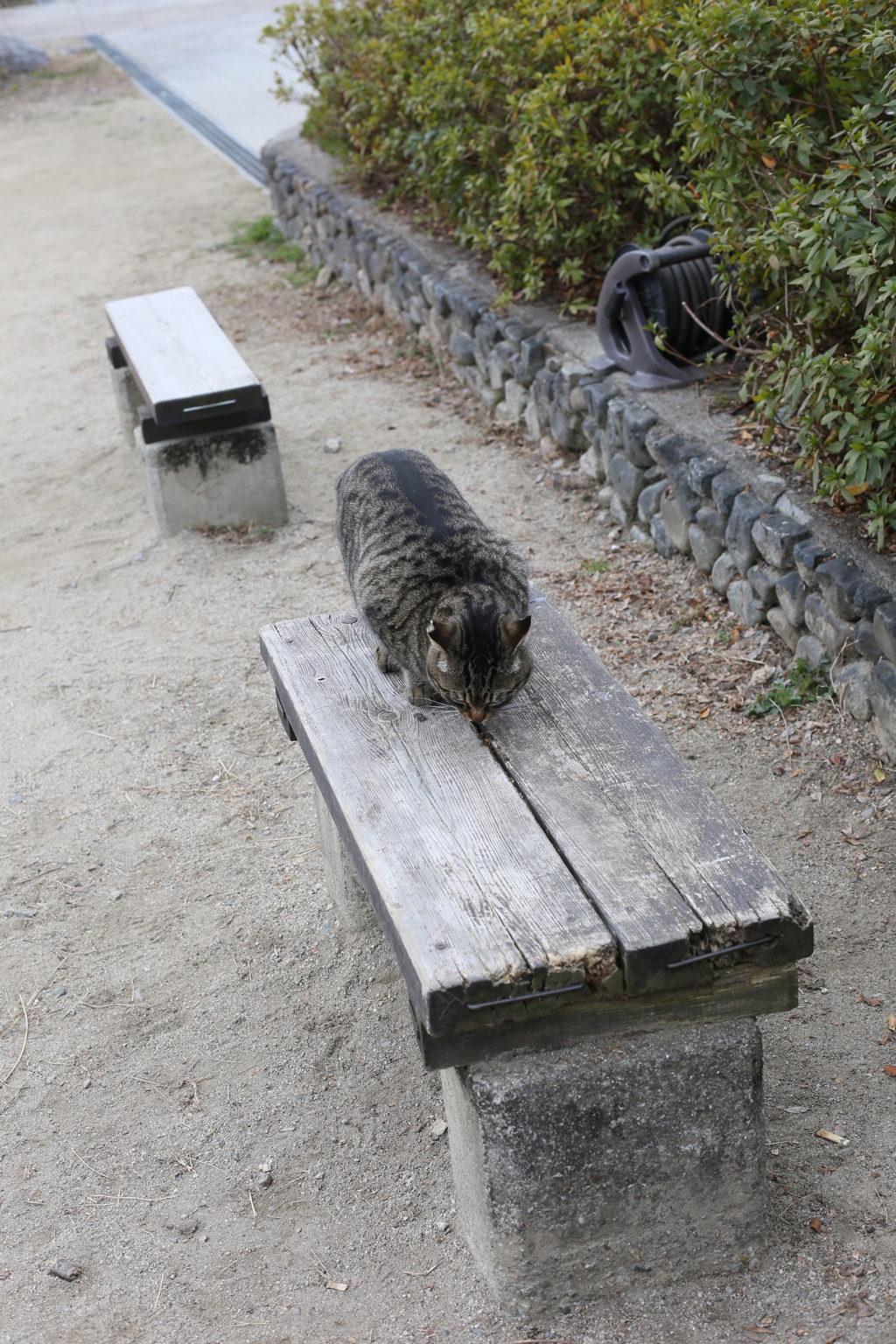 公園のベンチとかばん