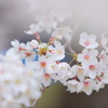 やさしい時間