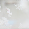 溶け込む