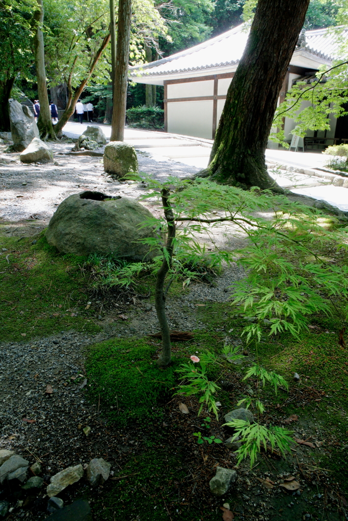 南禅寺