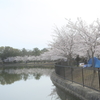 湖面沿の風景
